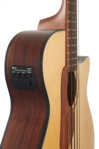 Ibanez AEGB30E-NTG