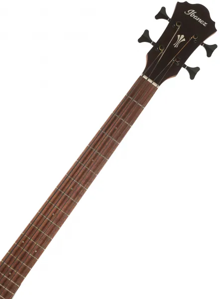 Ibanez AEGB30E-NTG