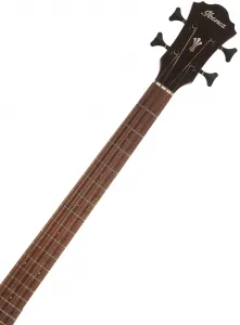 Ibanez AEGB30E-NTG