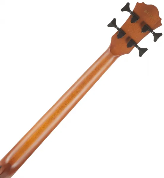 Ibanez AEGB30E-NTG