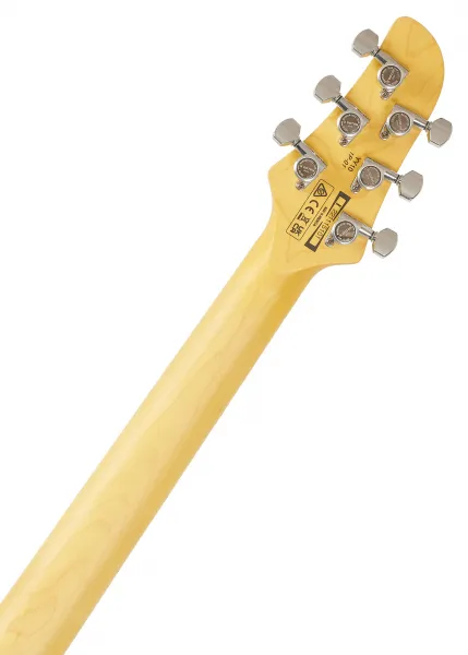 Ibanez YY10-SGS