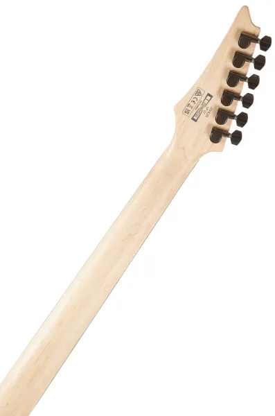 Ibanez JIVAJR-DSE