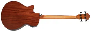Ibanez AEGB24E-BKH