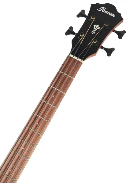 Ibanez AEGB24E-BKH