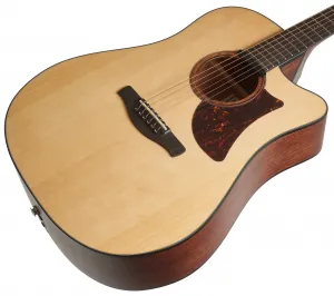 Ibanez AAD170CE-LGS