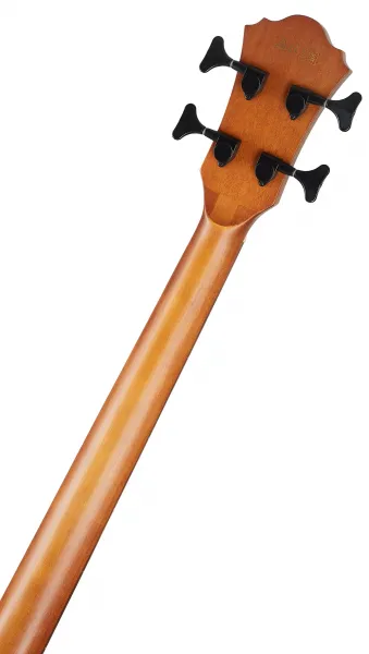 Ibanez AEGB24E-BKH