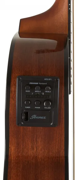 Ibanez AEWC11-DVS