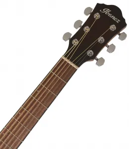 Ibanez AEWC11-DVS