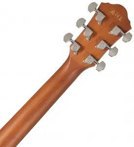 Ibanez AEWC11-DVS