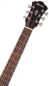 Ibanez AE275BT-LGS