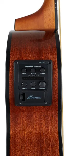 Ibanez AEWC11-TCB