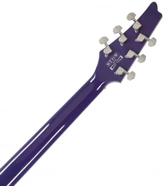 Ibanez FRM300-PR