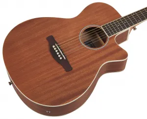 Ibanez AEG7MH-OPN