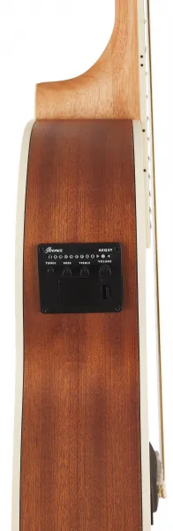 Ibanez AEG7MH-OPN
