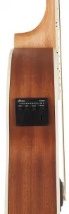 Ibanez AEG7MH-OPN