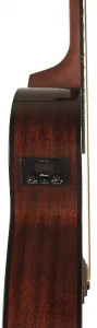 Ibanez AEG50-IBH