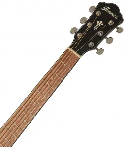 Ibanez AEG50-IBH