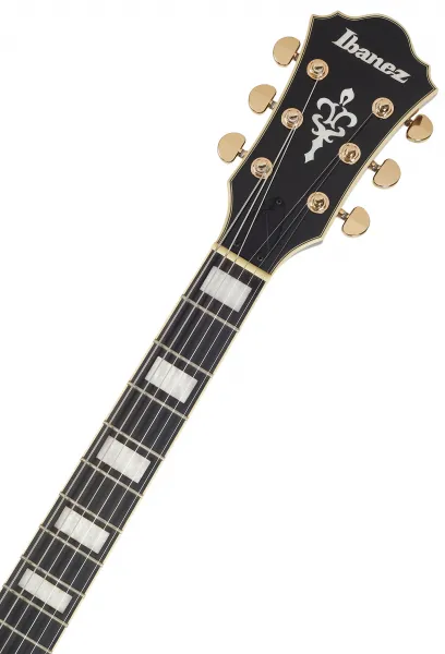 Ibanez AG95QA-DBS