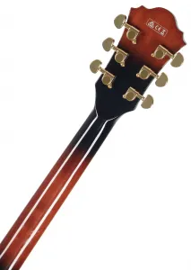 Ibanez AG95QA-DBS