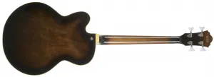 Ibanez AFB 200 TKS