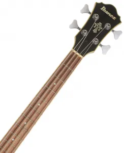 Ibanez AFB 200 TKS