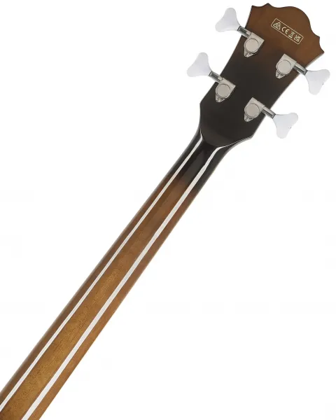 Ibanez AFB 200 TKS