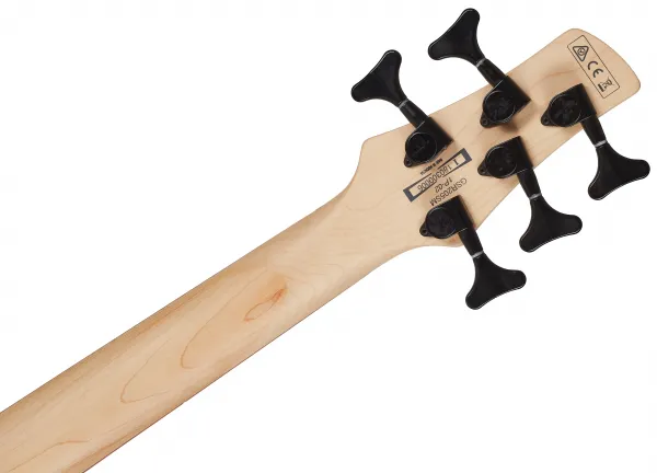 Ibanez GSR205SM NGT