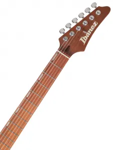 Ibanez EH10-TGM
