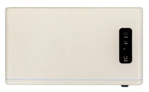 MOOER Hornet 30i Modelingové gitarové kombo