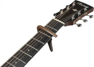 Ibanez IGC10W