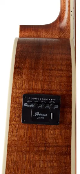 Ibanez AW417CE-OPS