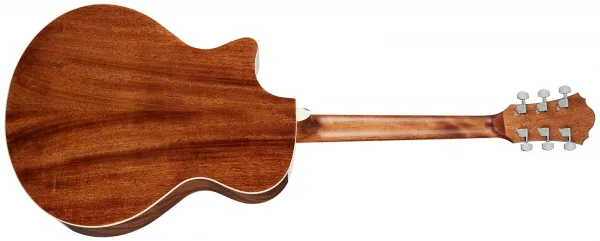Ibanez AE245-NT