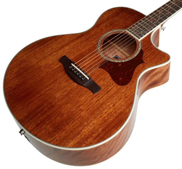 Ibanez AE245-NT