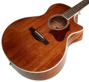 Ibanez AE245-NT