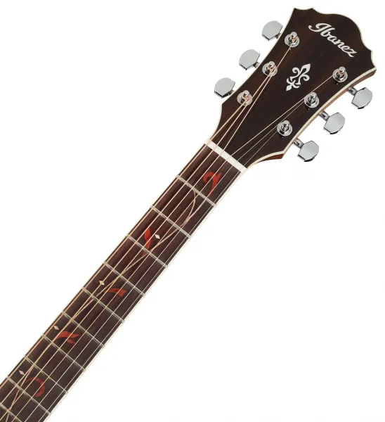 Ibanez AE245-NT