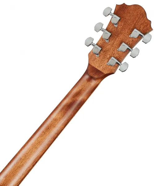 Ibanez AE245-NT