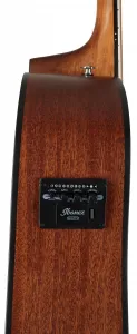 Ibanez AAD50CE-LG