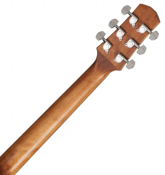Ibanez AAD50CE-LG