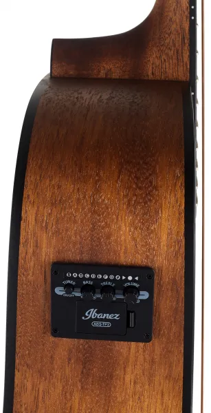 Ibanez AW54CE-OPN