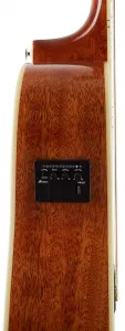 Ibanez PF1512ECE-NT