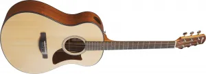 Ibanez AAM50-OPN Open Pore Natural Akustická gitara Jumbo