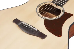 Ibanez AAM50-OPN Open Pore Natural Akustická gitara Jumbo