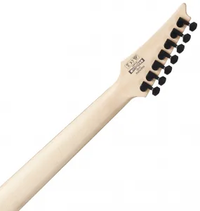 Ibanez RGA742FM-TGF