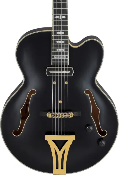 Ibanez Pat Metheny PM3C Black