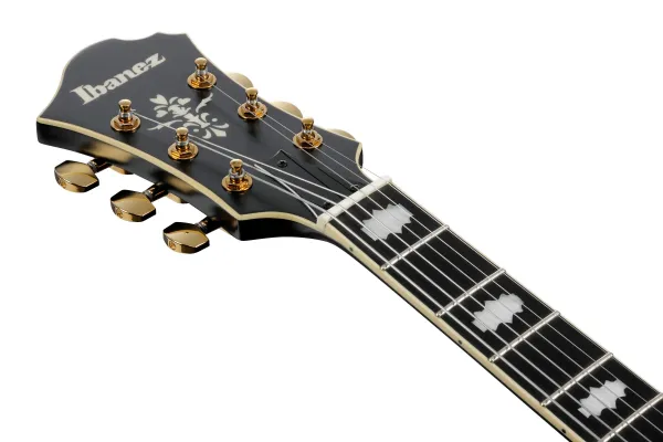 Ibanez Pat Metheny PM3C Black