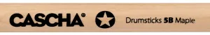 Cascha HH 2361 Drumsticks Pack 5B Maple - 12 Pair Bubenícke paličky
