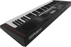 Roland E-X10 Keyboard s dynamikou