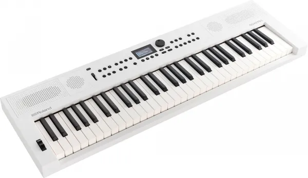 Roland GO:KEYS 5 Keyboard s dynamikou White