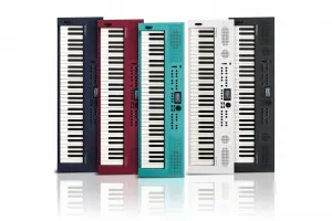 Roland GO:KEYS 5 Keyboard s dynamikou Graphite
