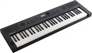 Roland GO:KEYS 5 Keyboard s dynamikou Graphite
